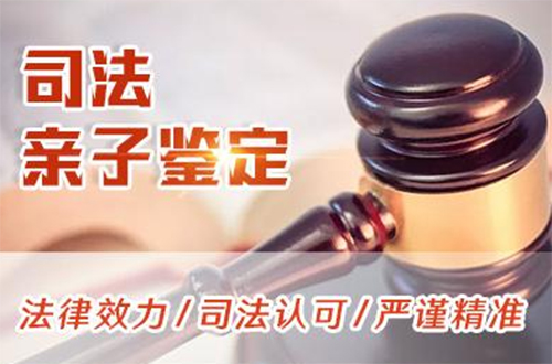 苏州司法亲子鉴定需要如何做,苏州司法DNA亲子鉴定准不准